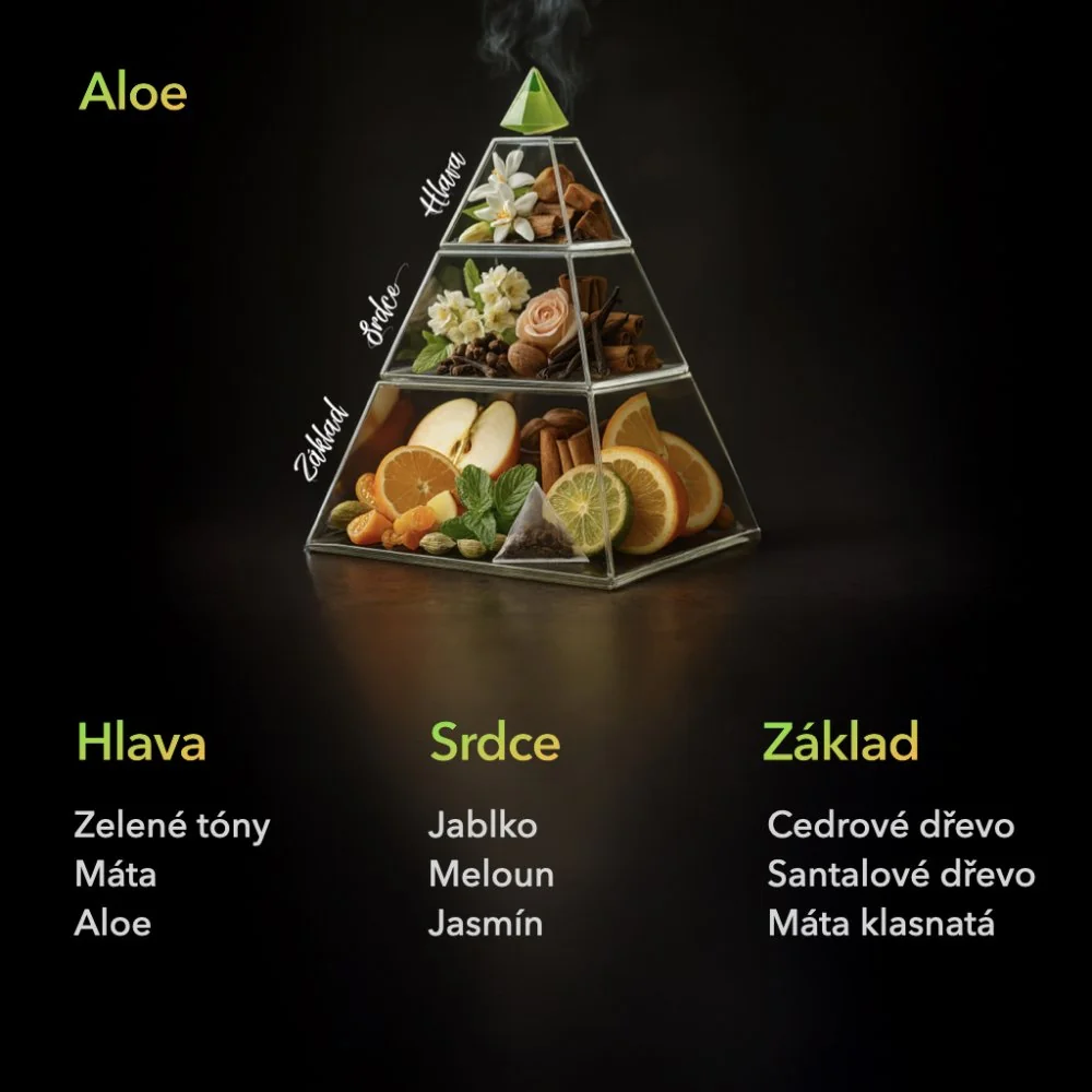 Ambinature Tyčinkový difuzér ALOE MIKADO 100 ml Černá