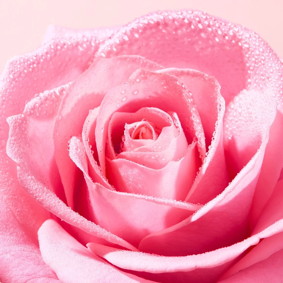 Nuxe Very Rose Růžová parfémová voda 100 ml