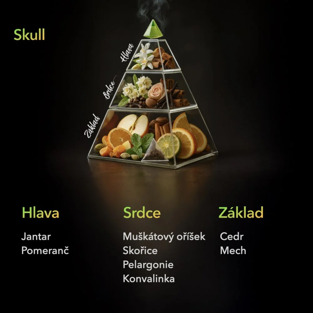 Ambinature Tyčinkový difuzér SKULL MIKADO 100 ml Přírodní