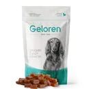 Geloren Dog S-M kloubní výživa