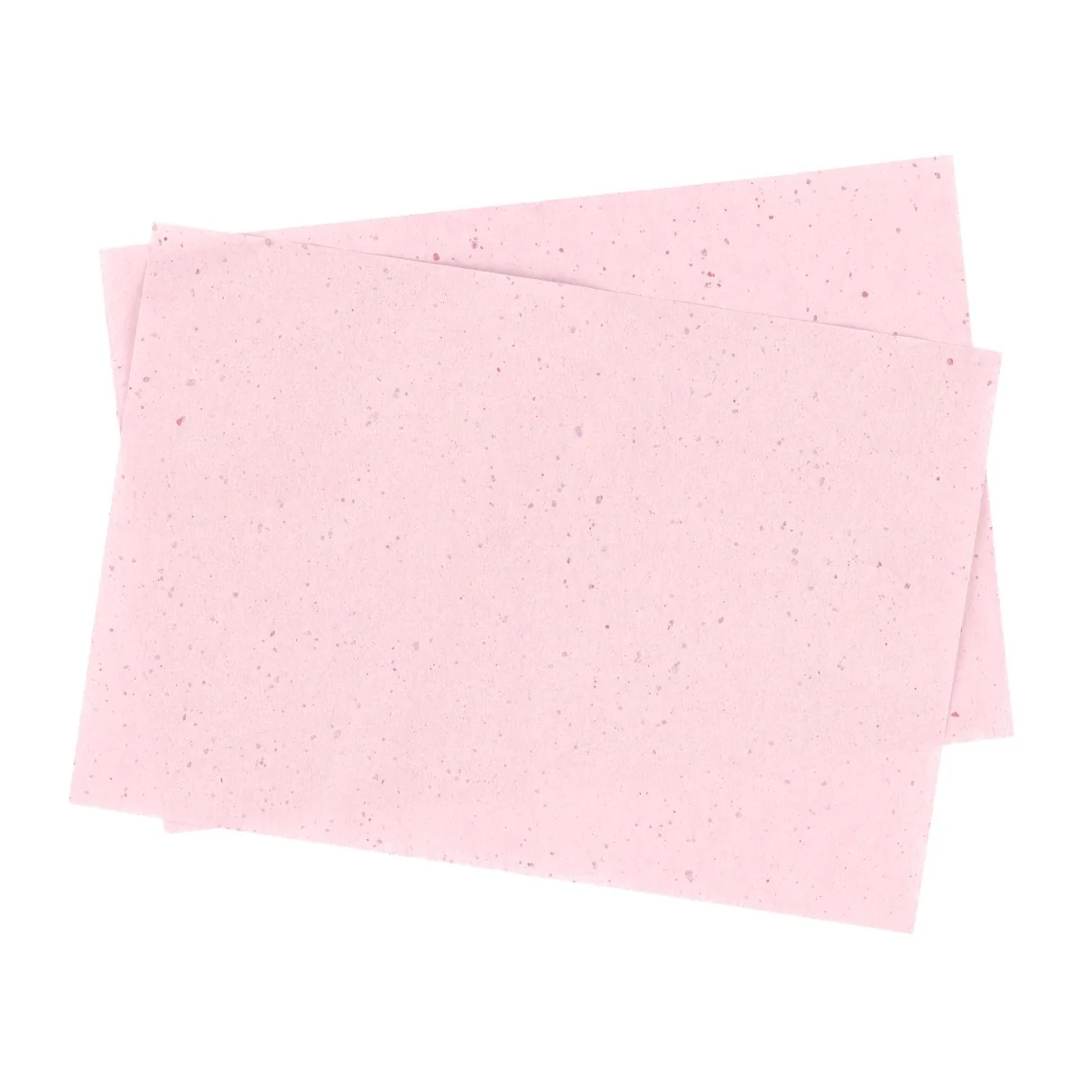 Gabriella Salvete Matte Papers with Rose Extract matující papírky 50 ks