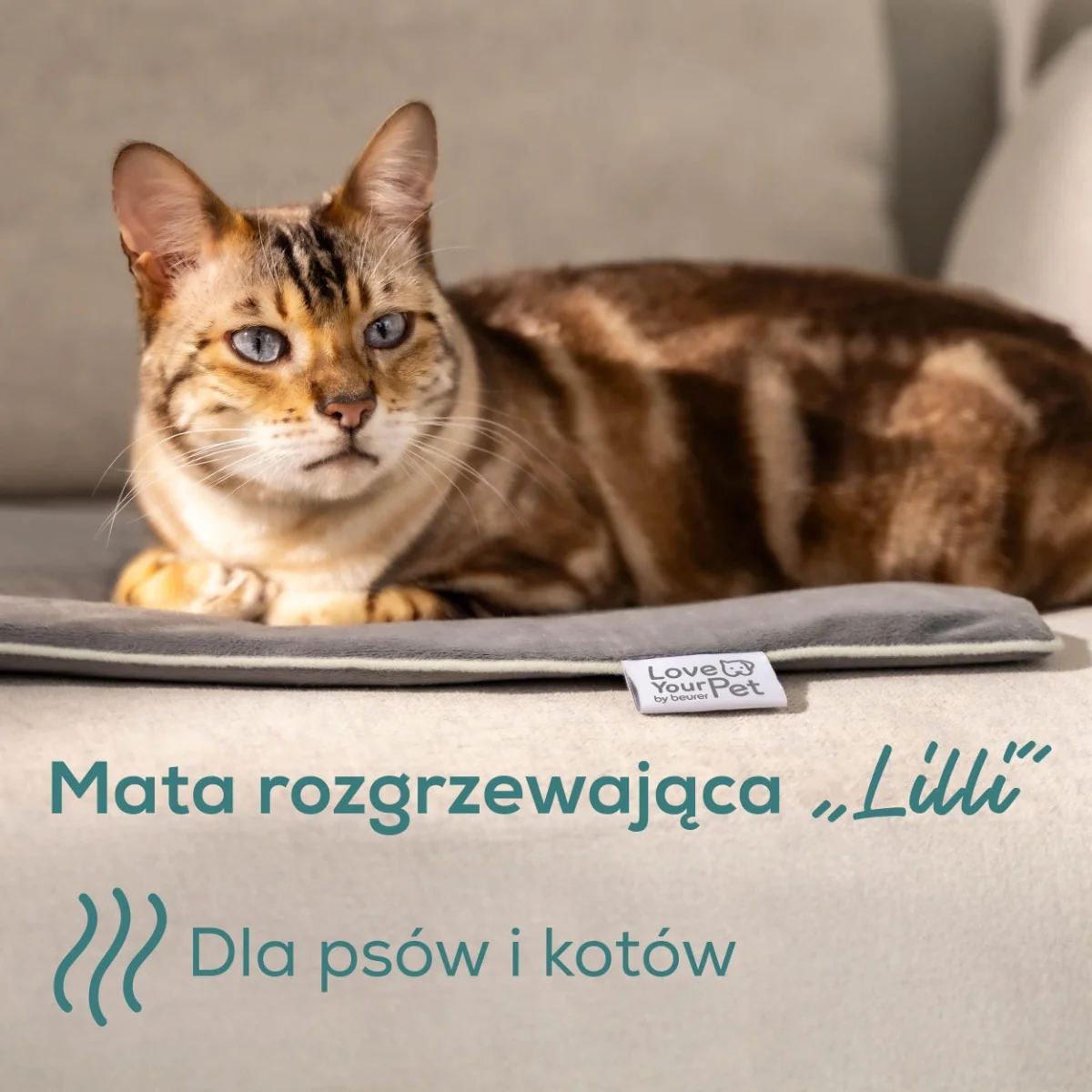 Beurer PET program Vyhřívaná podložka PP210 Lilli 41 x 34 cm šedá