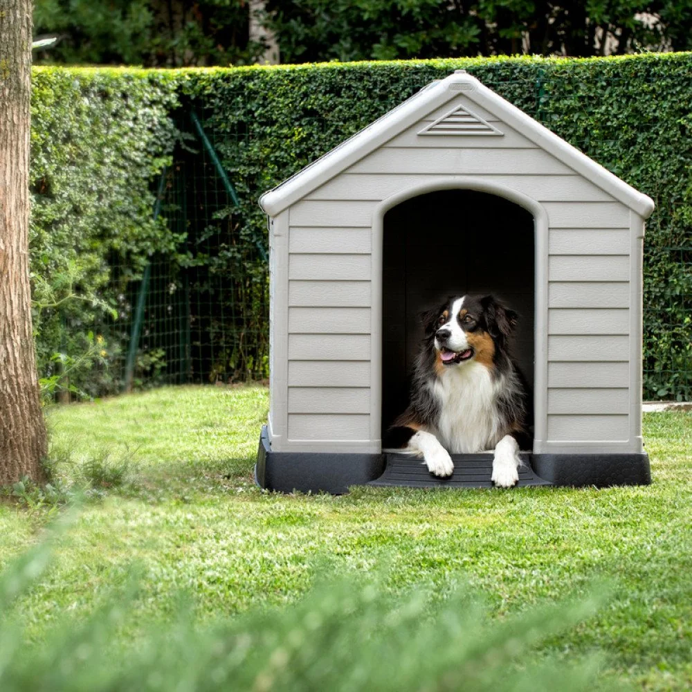 Curver Bouda pro psy Dog House šedá