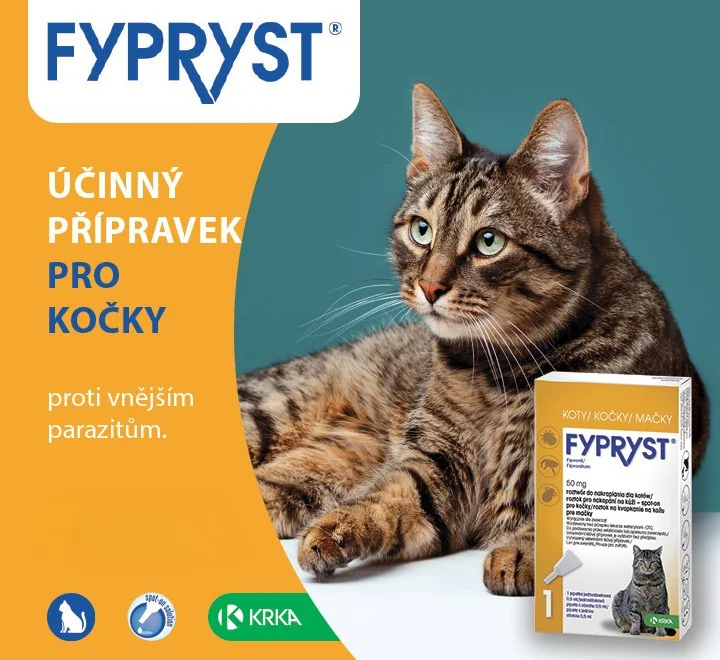 Účinný přípravek pro kočky proti vnějším parazitům. Fypryst. Účinný přípravek pro kočky proti vnějším parazitům. Fypryst.