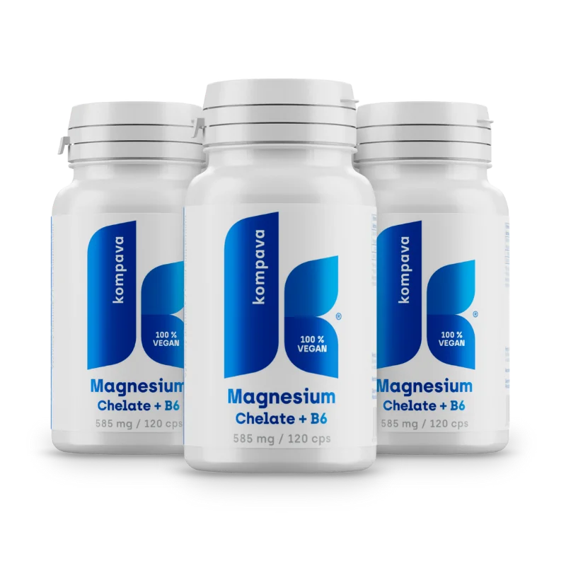 KOMPAVA Chelát hořčíku 585 mg/120 kapslí