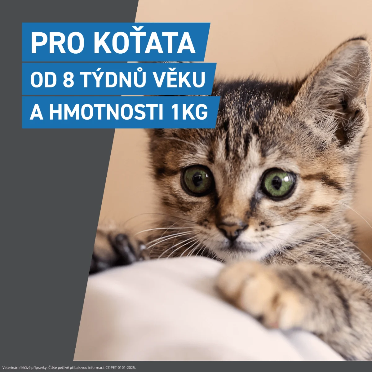 FRONTLINE SPOT-ON pro kočky 3 pipety