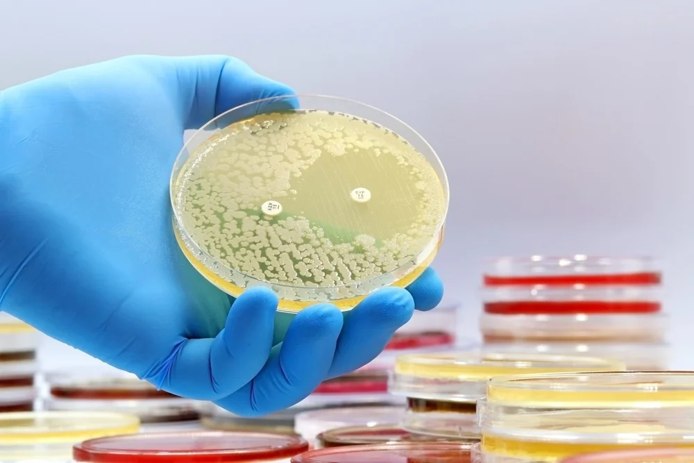 Antibiotika a prevence antibiotické rezistence.