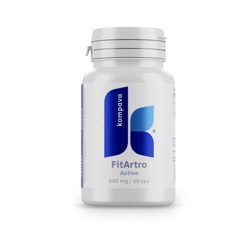 KOMPAVA Fit Artro Aktiv 600 mg/60 kps