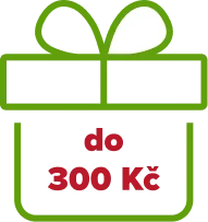 Dárky do 300 Kč