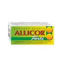 Naturvita Allicor Forte česnek+C+E+P+BETA