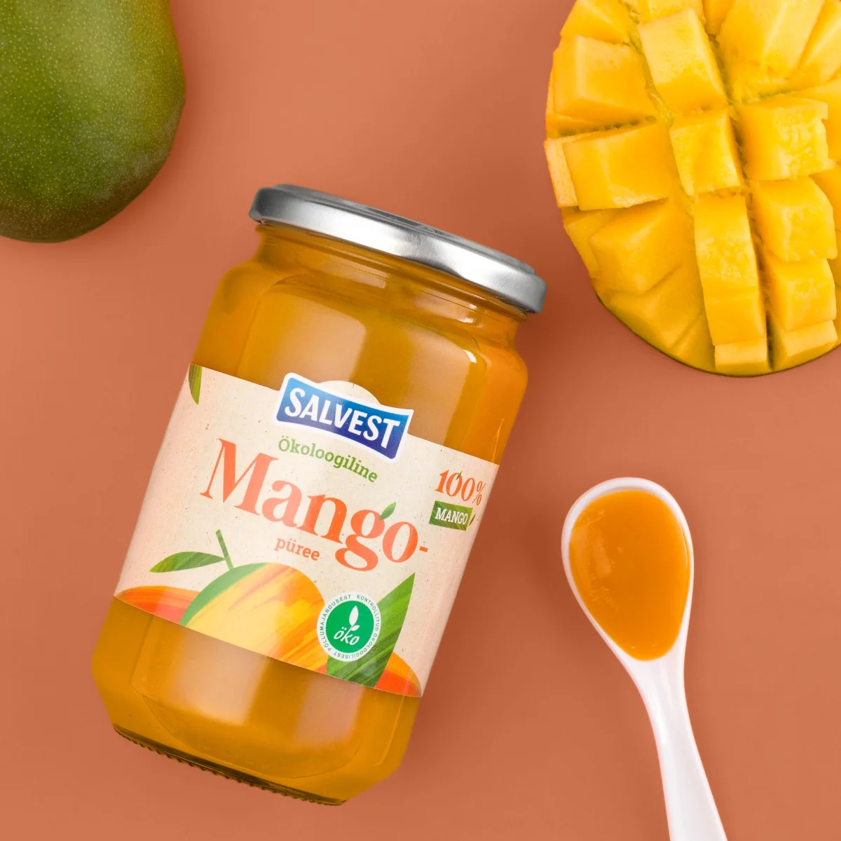SALVEST Family BIO Mango 100% 450 g