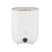 Truelife AIR Humidifier H3