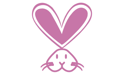 ikona ikona
