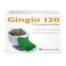 Gingio 120 mg