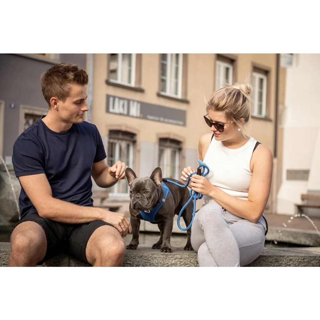 Curli Vodítko pro psy Comfort Blue M