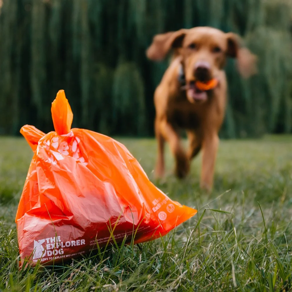 Explorer dog Sáčky recyklované na psí exkrementy - 15 ks v roli