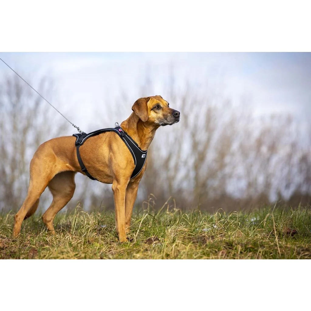 Curli Ultra silné kapesní vodítko pro psy S 110 cm