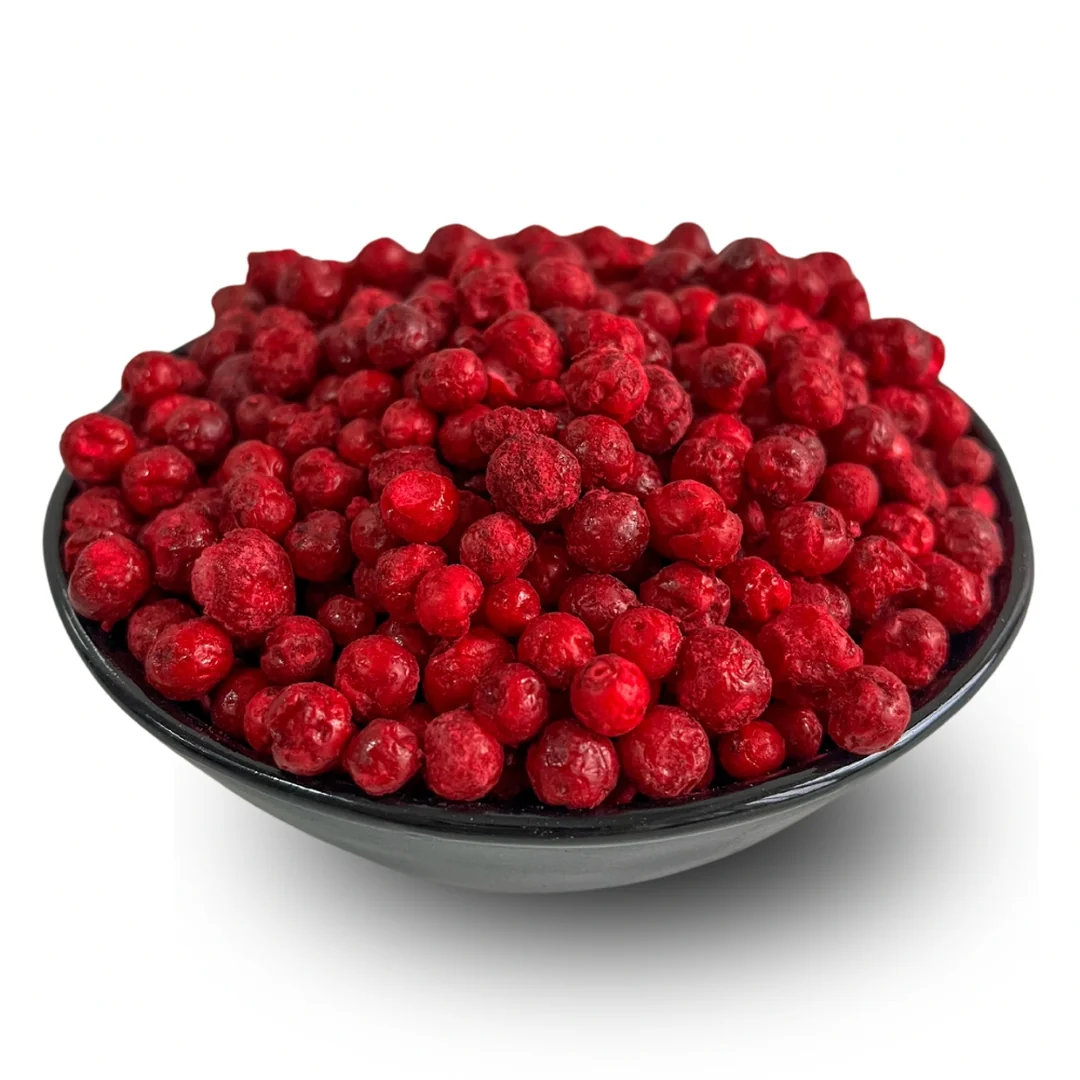 Lyopotraviny Brusinky lesní lyofilizované (sušeno mrazem), 25 g
