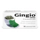 Gingio 40 mg 90 potahovaných tablet