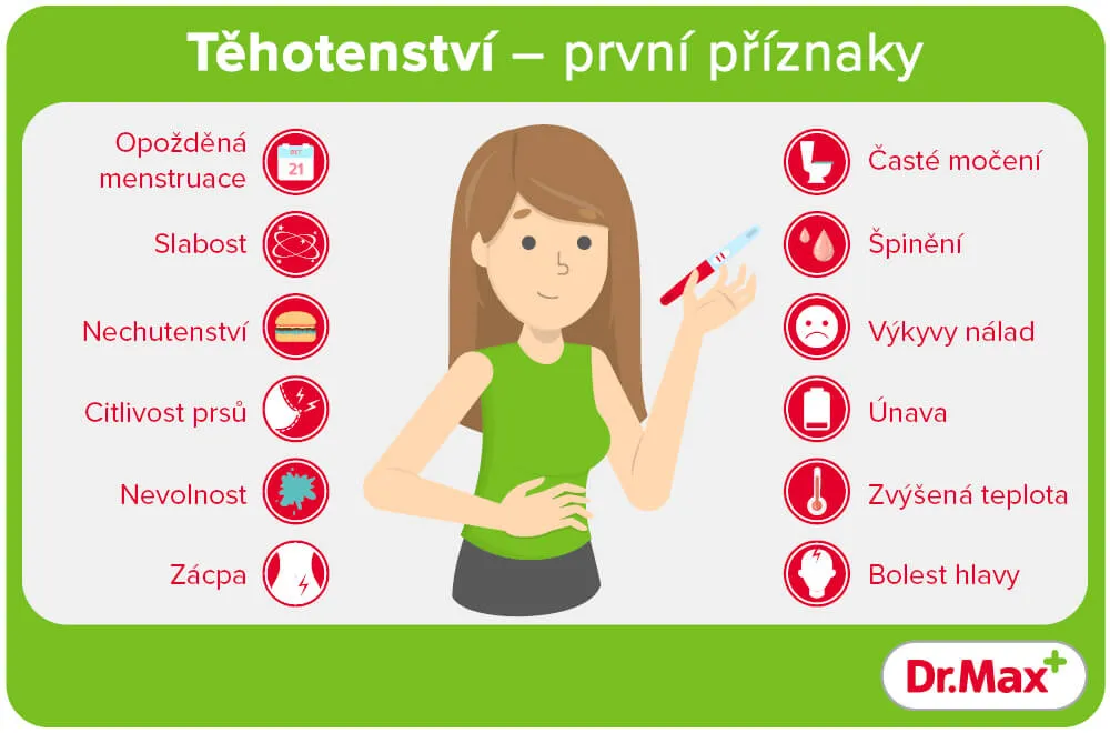 Těhotenství  první příznaky