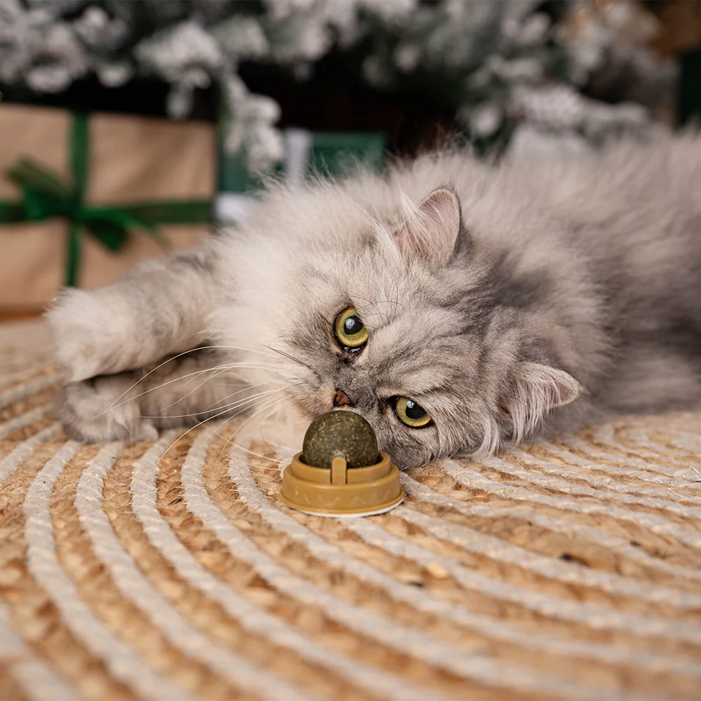Akinu WINTER BOX Masíčka Premium pro kočky