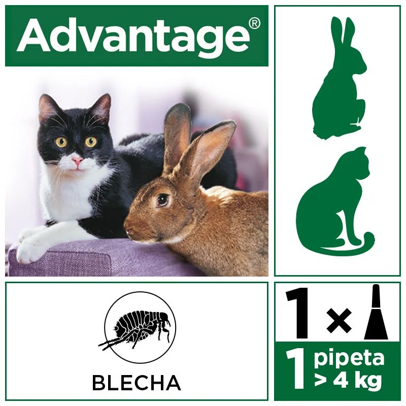 Advantage Roztok pro nakapání na kůži spot-on pro velké kočky a králíky 80 mg 1x0,8 ml