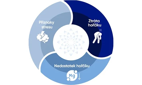 začarovaný kruh stresu