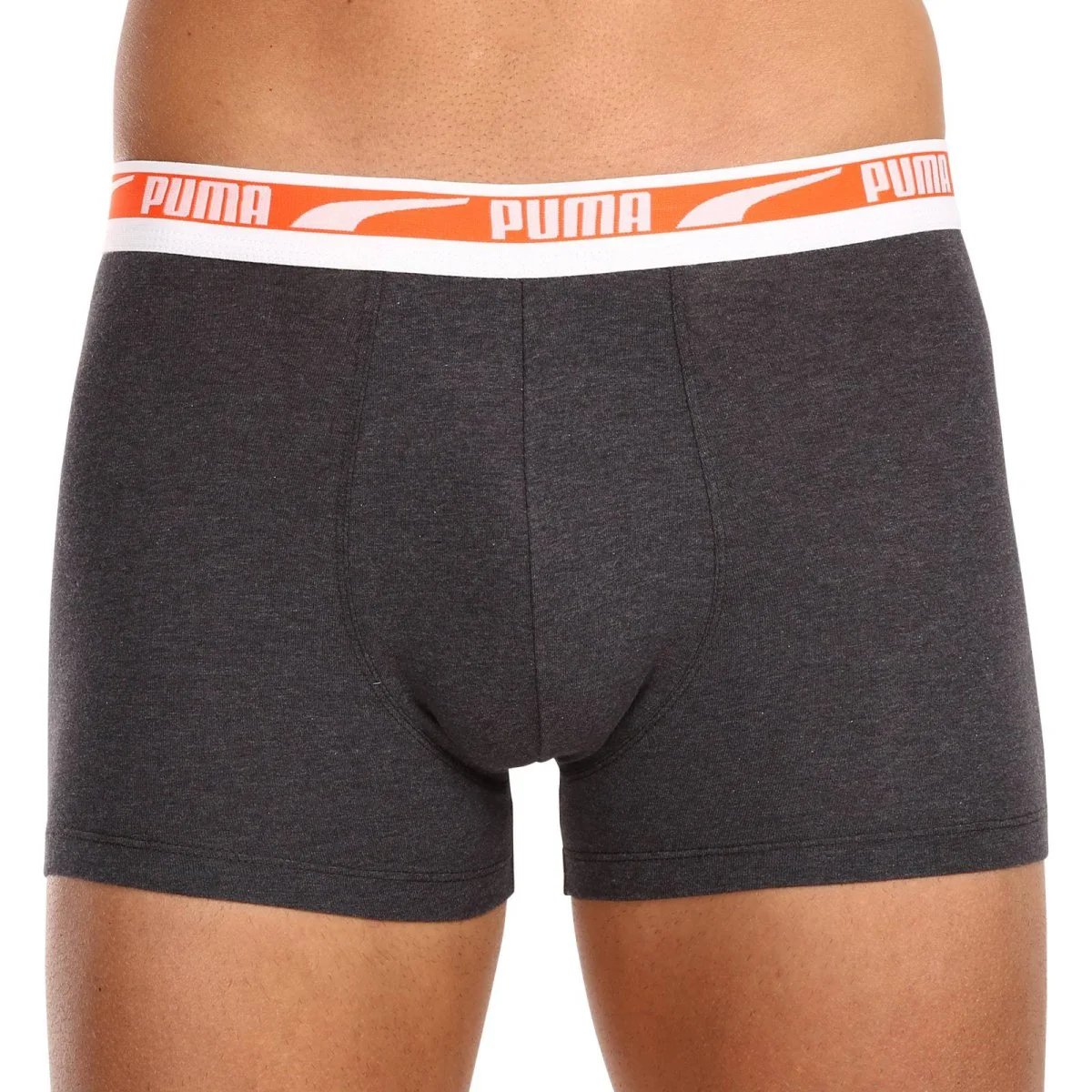 Puma 2PACK pánské boxerky vícebarevné (701221416 007) M