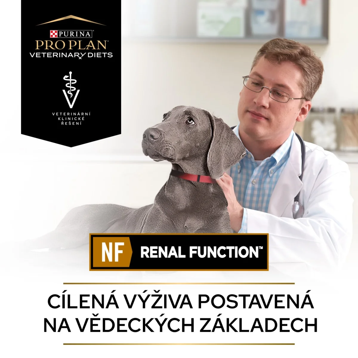 Purina Pro Plan Veterinární diety NF Renal Function konzerva pro psy 400 g