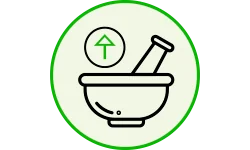 Vysoká dávka silymarinu Vysoká dávka silymarinu