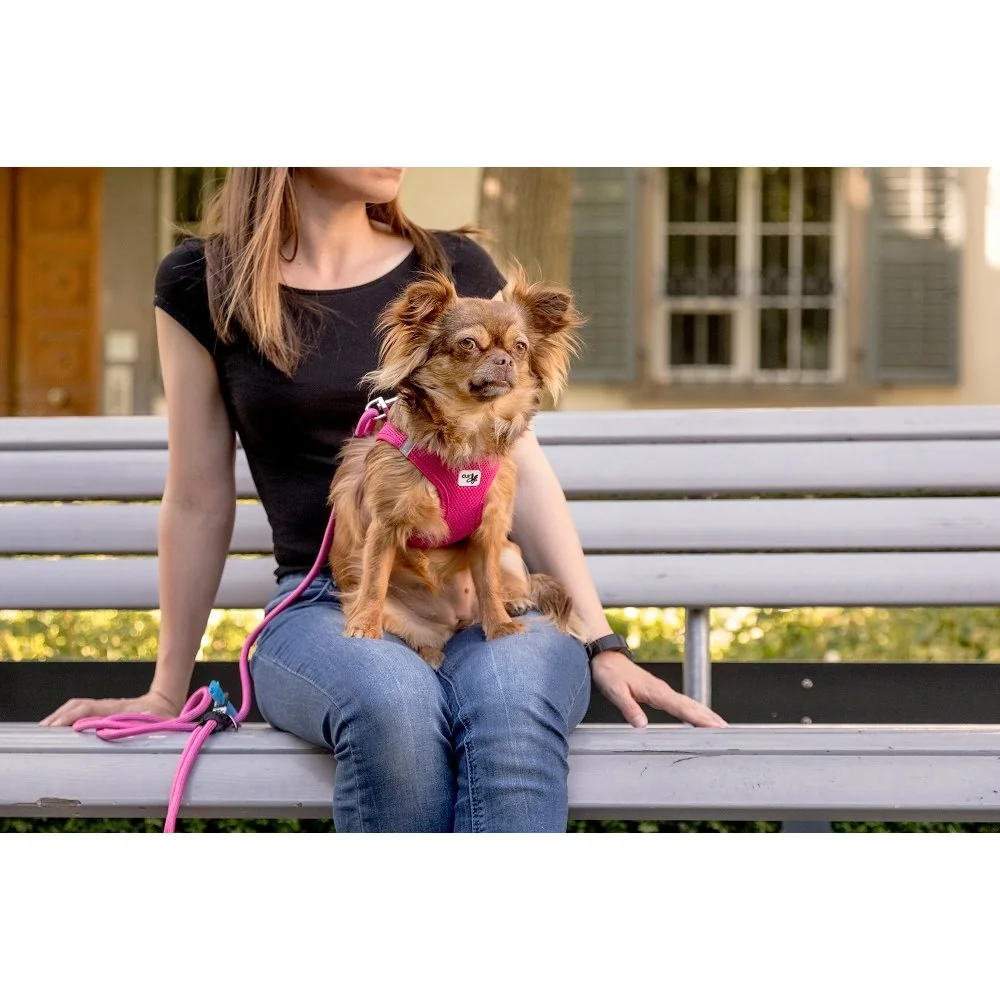 Curli Vodítko pro psy Comfort Pink M