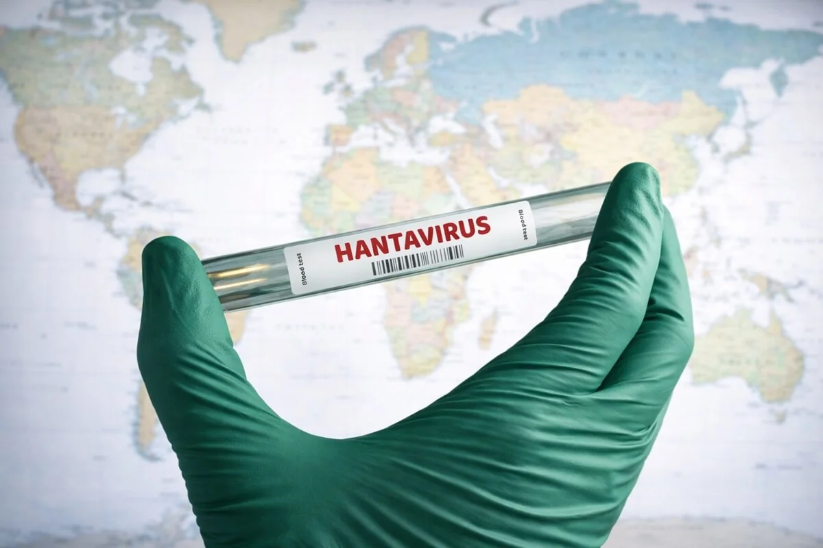 Hantavirus – příznaky, přenos a léčba