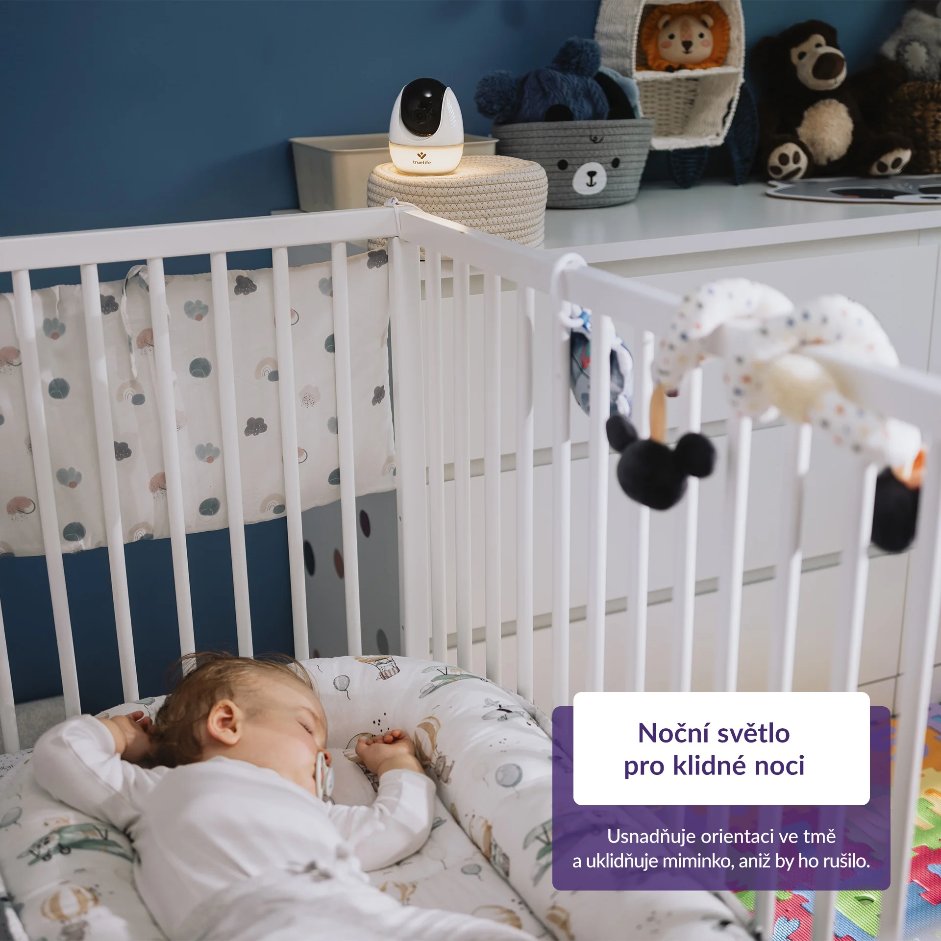 Truelife NannyCam R4 Pro rotační chůvička