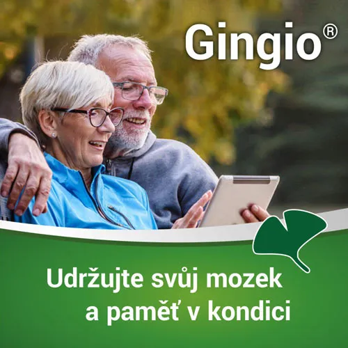 Gingio 80 60 potahovaných tablet