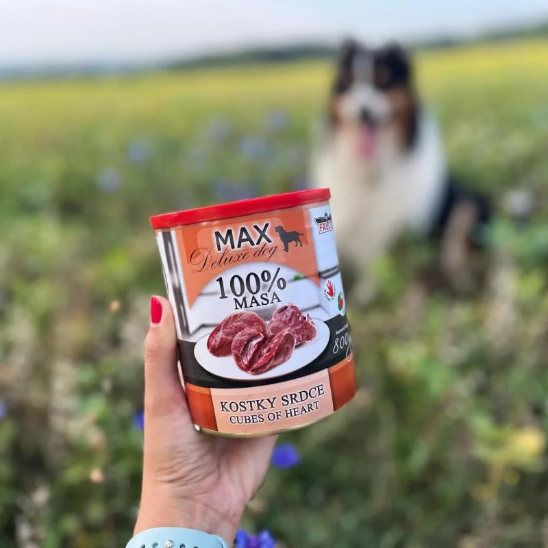 Sokol Falco MAX kostky srdce 800g