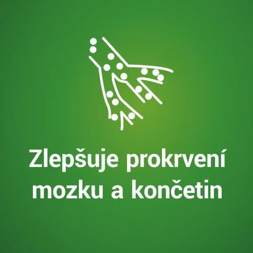 Gingio 40 mg 90 potahovaných tablet