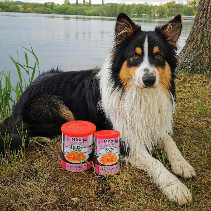 Sokol Falco MAX losos kousky 400g