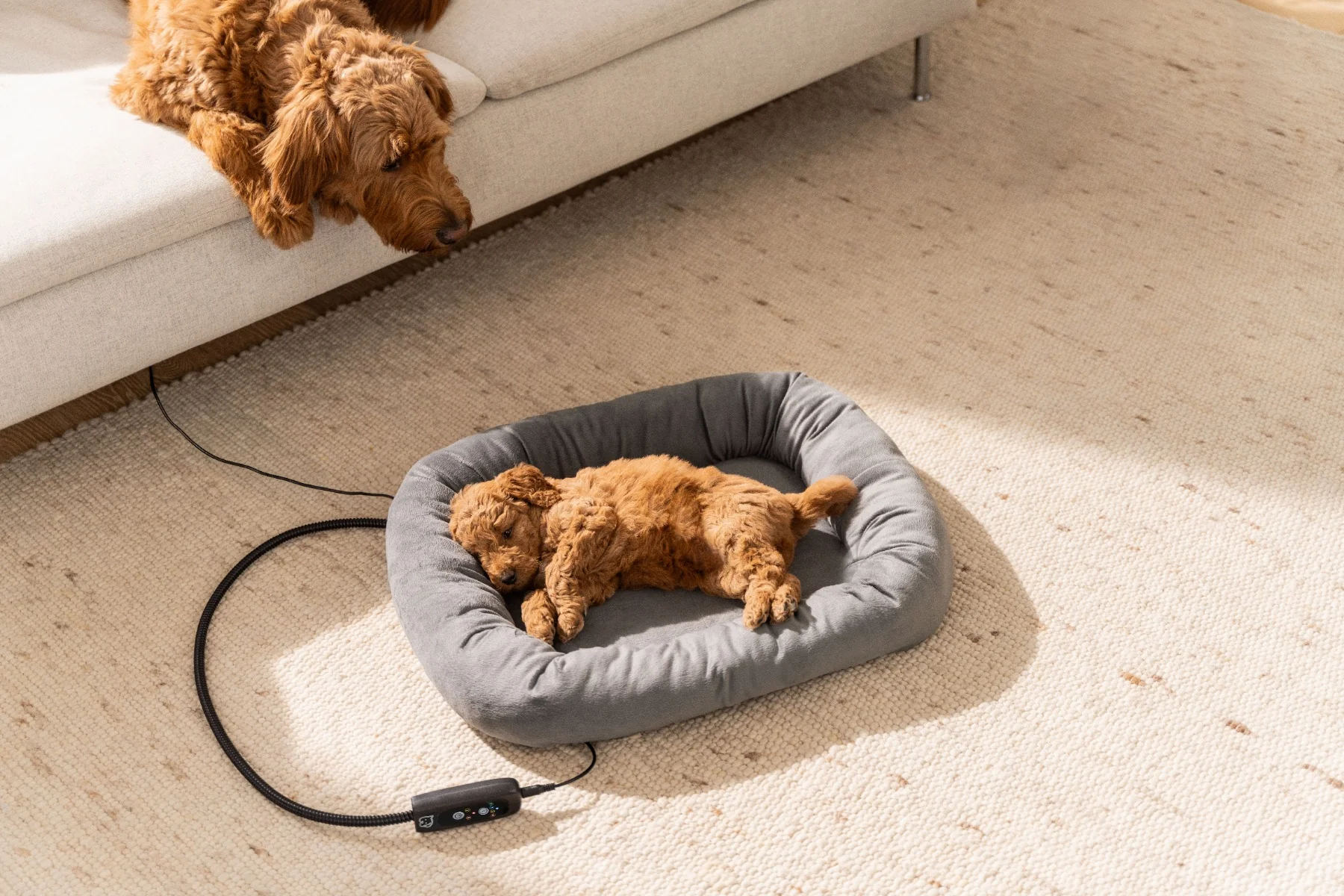 Beurer PET program Vyhřívaný pelíšek PP250 Kira 58 x 50 x 10 cm šedý