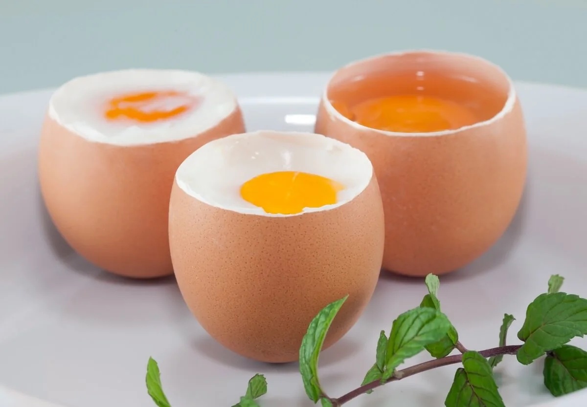 Vejce, zejména ty z domácího chovu, patří z hlediska salmonelózy k rizikovým pottravinám. Vejce, zejména ty z domácího chovu, patří z hlediska salmonelózy k rizikovým pottravinám.