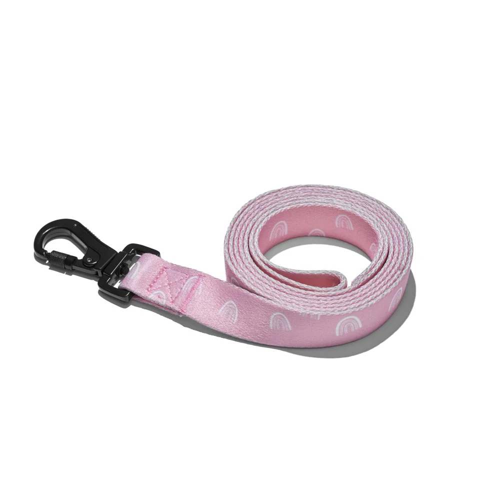 Explorer dog Vodítko Duha L - 170x2,5 cm