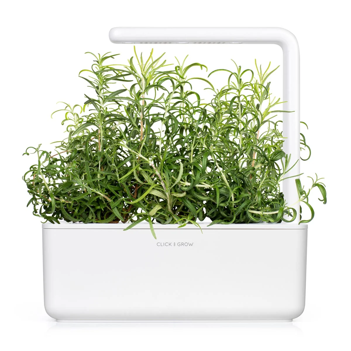 Click & Grow Náplň pro chytré květináče 3 ks - rozmarýn