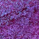Gabriella Salvete Longlasting Enamel 11 Juicy Plum lak na nehty 11 ml