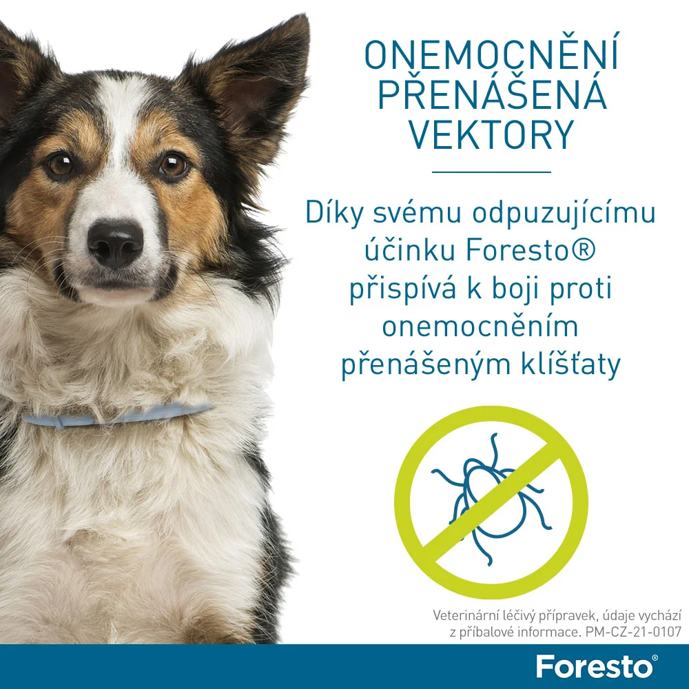 Foresto 1,25 g + 0,56 g obojek pro kočky a psy do 8 kg 38 cm 1 ks