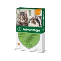 Advantage pro malé kočky a králíky 40 mg