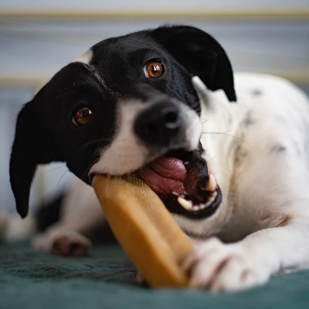 Explorer dog Himalájský pamlsek se lněným semínkem L