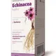Imunit Echinaceové kapky 50+10 ml