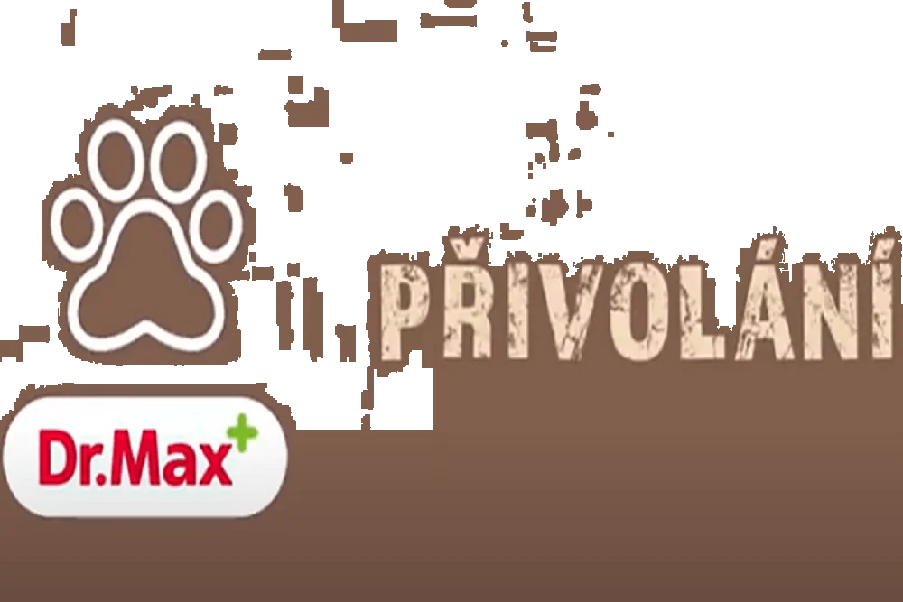 Přivolání pejska a další povely