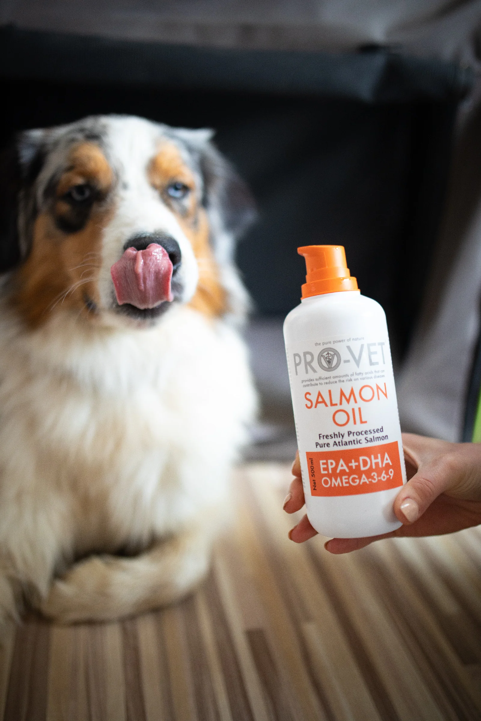 PRO-VET Lososový olej 500 ml