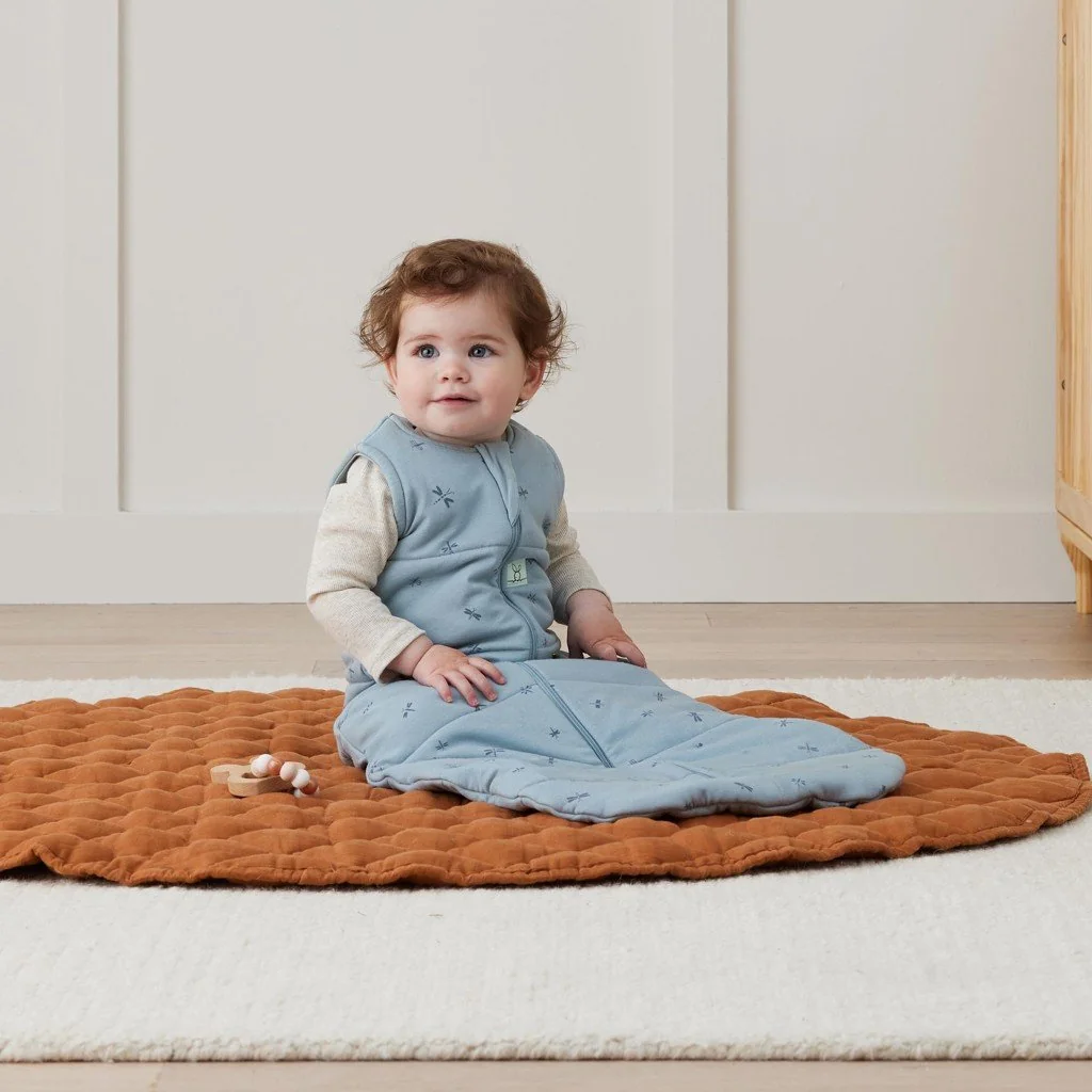 Ergopouch Pytel na spaní organická bavlna Jersey Dragonflies 3-12 m, 6-10 kg, 2,5 tog
