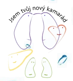 Jsem tvůj nový kamarád z.s.